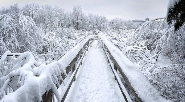 9 Simple Winter Hikes In Vermont That Will Cure Your Cabin Fever