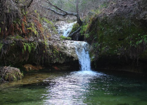 This Quaint Little Trail Is The Shortest And Sweetest Hike In Texas