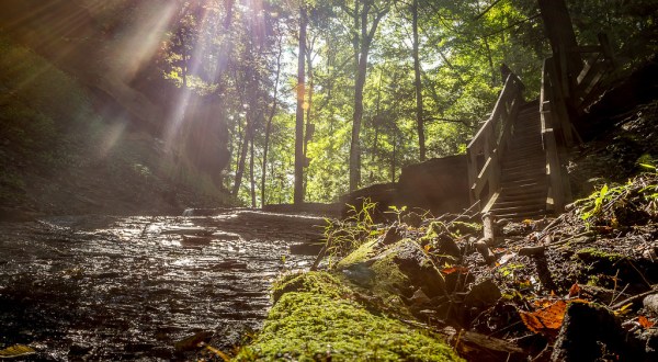 5 Little Known Canyons That Will Show You A Side Of Indiana You’ve Never Seen Before