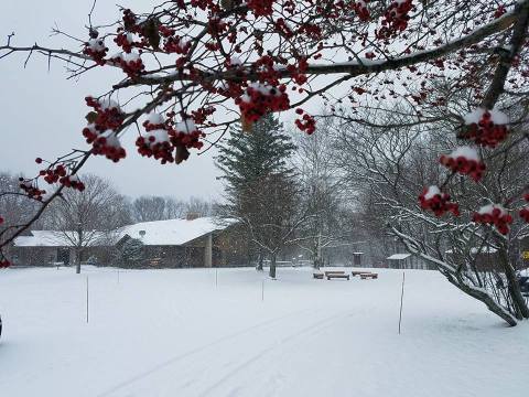 This Nature Preserve Near Buffalo Will Enchant You All Winter Long