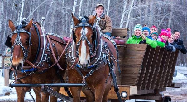 This Sleigh Ride Dinner In Michigan Will Take You On A Whimsical Journey