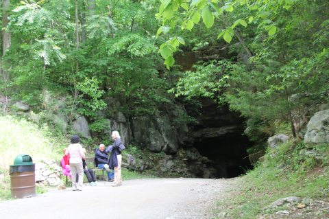 Few People Know About This Fossil Cave Hiding Right Here In Tennessee