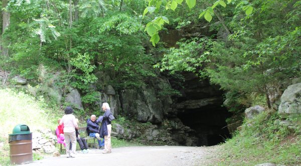 Few People Know About This Fossil Cave Hiding Right Here In Tennessee