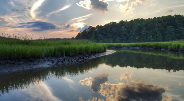 This Beautiful Waterfront State Park In Virginia Is Calling Your Name