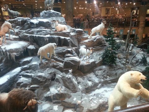 A Mountain Full Of Wild Animals Is Hiding Right Inside This Connecticut Store