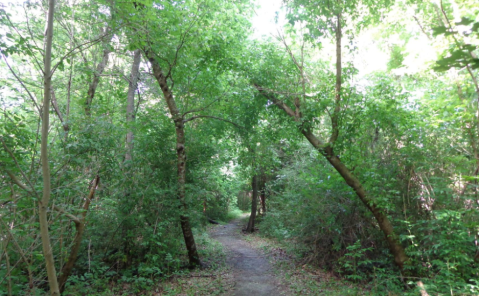 This Quaint Little Trail Is The Shortest And Sweetest Hike Near New Orleans