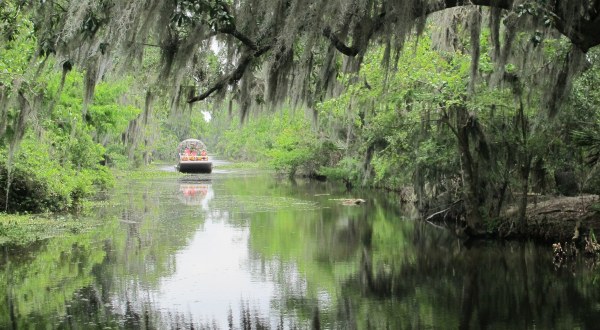 8 Epic Adventures You Can Have In Louisiana In A Day or Less