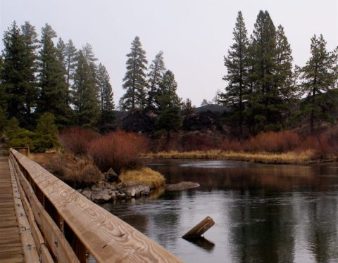 This Quaint Little Trail Is The Shortest And Sweetest Hike In Oregon