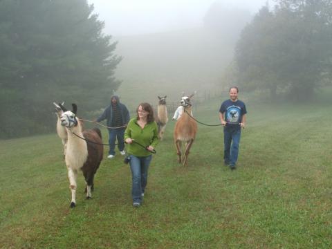 Virginia's Scenic Bed & Breakfast Where Guests Can Go Llama Trekking