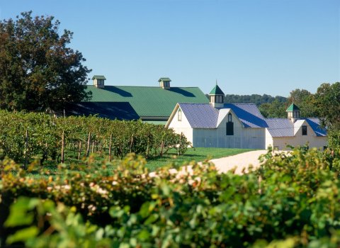 The Remote Winery Near Baltimore That's Picture Perfect For A Day Trip