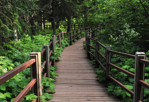 This Quaint Little Trail Is The Shortest And Sweetest Hike In Minnesota