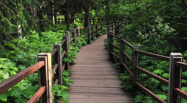 This Quaint Little Trail Is The Shortest And Sweetest Hike In Minnesota