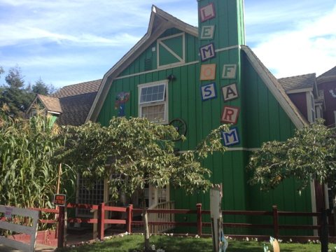 Everyone Should Visit This Amazing Antique Barn Near San Francisco At Least Once