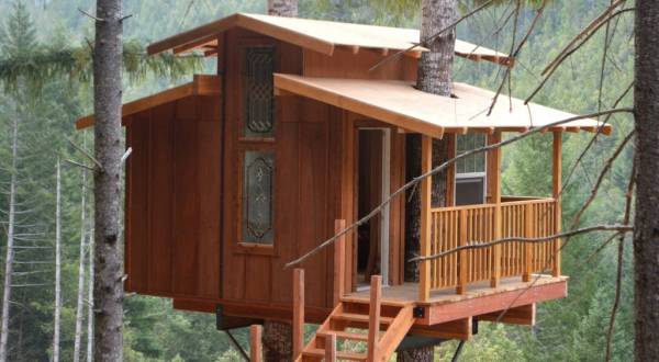 Sleep Underneath The Forest Canopy At This Epic Treehouse In Northern California
