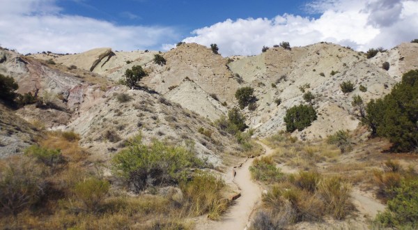 Few People Know About this Fossil Trail Hiding Right Here In Utah