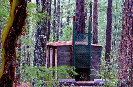 This Incredible Oregon Hike Will Take You To The World’s Only Bigfoot Trap