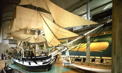 This Is The Most Fascinating Massachusetts Museum You've Never Visited
