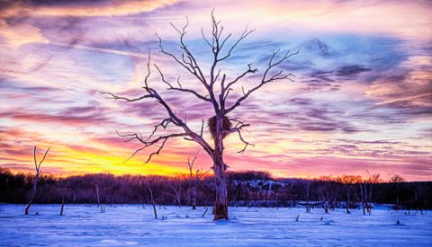 10 Reasons No One In Their Right Mind Visits Kansas In The Winter