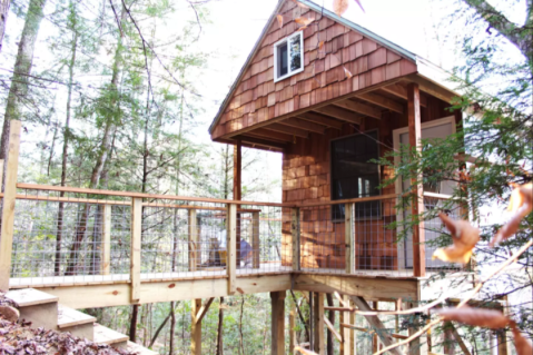 Sleep In The Trees Just Steps From The Best Of Kentucky's Red River Gorge