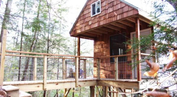 Sleep In The Trees Just Steps From The Best Of Kentucky’s Red River Gorge
