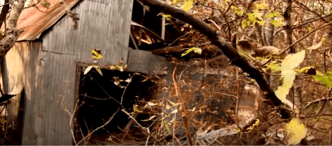 Everyone In Texas Should See What's Inside The Gates Of This Abandoned Zoo