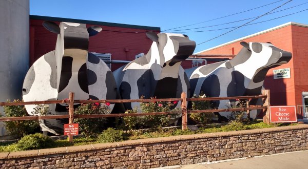 The Cheese Factory Tour In North Carolina That’s Everything You Could Imagine And More