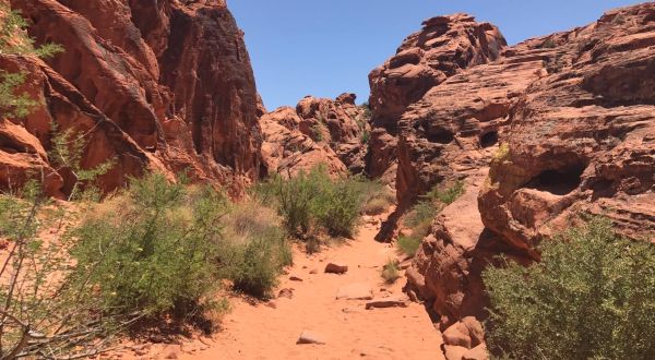 This Hidden Trail In Nevada Leads To A Magnificent Archaeological Treasure