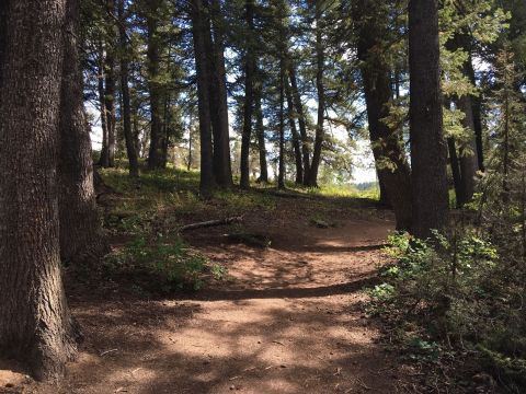 This One Of A Kind Trail In Utah Is Fun For The Whole Family