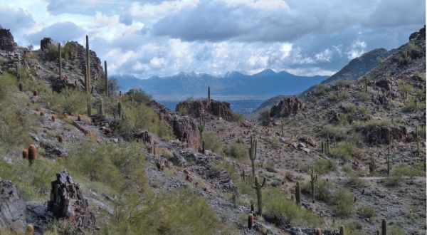 This Easy Hike Proves That Arizona Is Home To Unrivaled Beauty