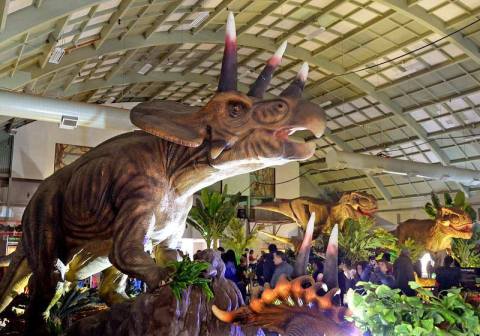The One Place In Oklahoma That Will Transform Into A Real Live Jurassic Park
