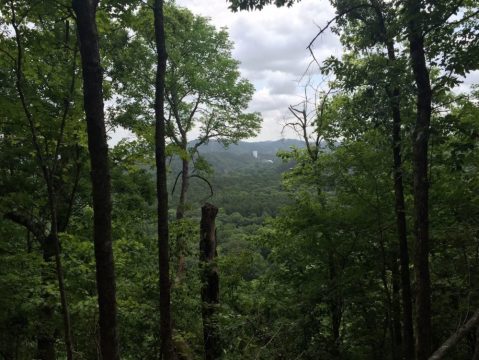 The One Hike In Oklahoma That Makes You Feel Like You've Landed In A Jungle