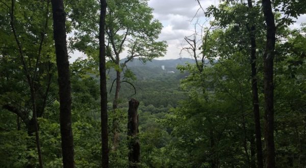 The One Hike In Oklahoma That Makes You Feel Like You’ve Landed In A Jungle