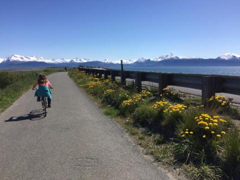 7 Scenic Rail Trails In Alaska That Are Downright Picture Perfect