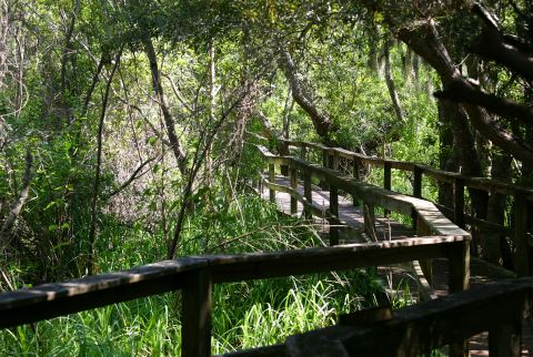 This Wildlife Hike Along The South Carolina Coast Is A Nature Lover's Dream