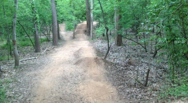 These 7 Simple Trails In Louisiana Are Hidden Gems Waiting To Be Explored
