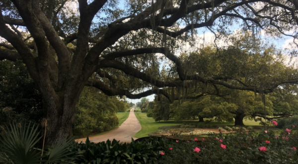 Most People Don’t Realize These 7 Secret Gardens Around Louisiana Exist