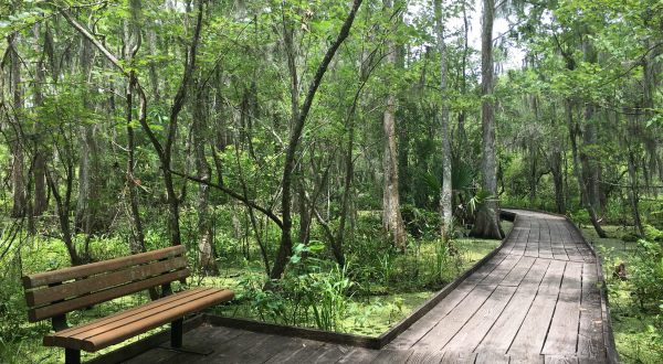 5 Low-Key Hikes Near New Orleans With Amazing Payoffs