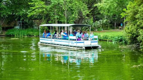 The Safari Boat Ride In Louisiana That's Fun For The Whole Family