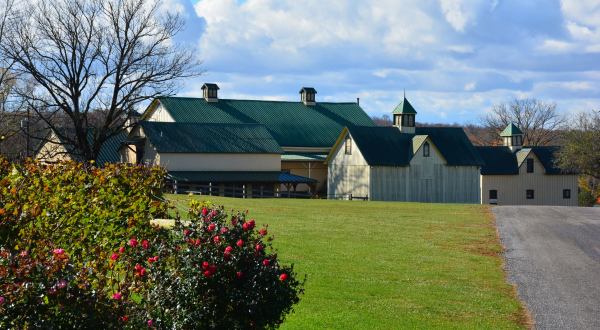 This Is The Oldest Winery In Maryland And Its History Will Fascinate You
