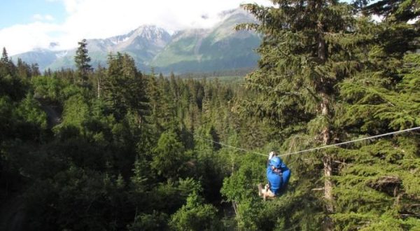 The One Tree-Top Adventure In Alaska That Belongs On Your Bucket List