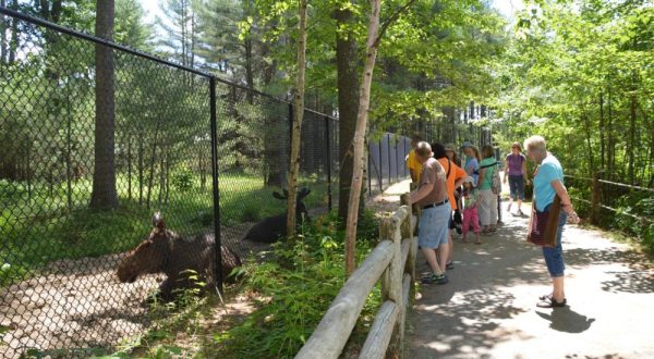 There’s A Wildlife Park In Maine That’s Perfect For A Family Day Trip