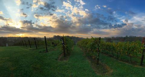 The Most Picturesque Vineyard In Kentucky Will Whisk You Away To Italy
