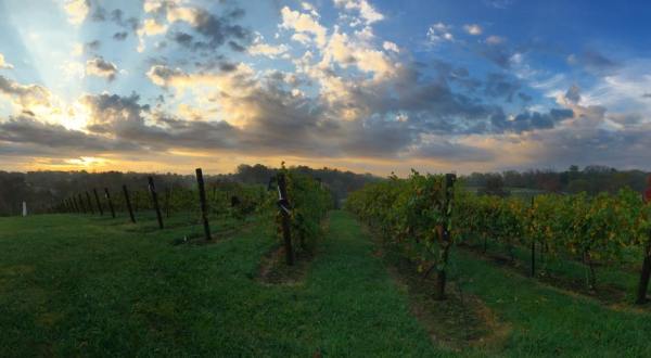 The Most Picturesque Vineyard In Kentucky Will Whisk You Away To Italy