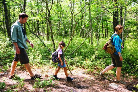 9 Totally Kid-Friendly Hikes In Massachusetts That Are 1 Mile And Under