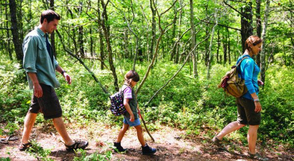 9 Totally Kid-Friendly Hikes In Massachusetts That Are 1 Mile And Under