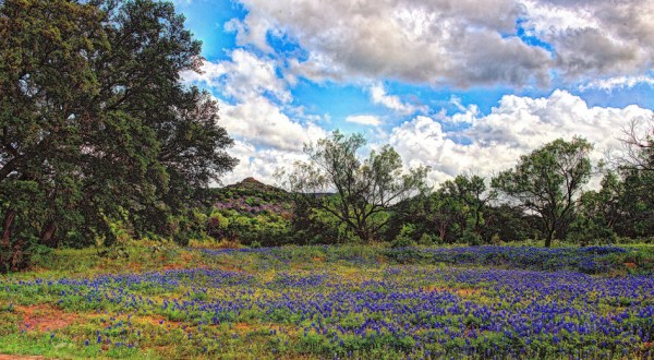 The 11 Very Best Places To Go In Texas This Spring