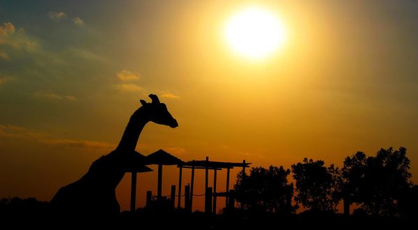 There’s A Wildlife Park In Kansas That’s Perfect For A Family Day Trip