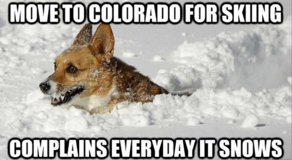 These 15 Pictures Prove That Coloradans Have The Best Sense Of Humor