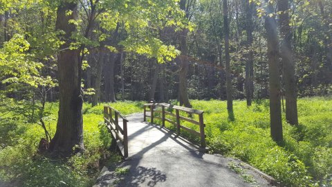 7 Totally Kid-Friendly Hikes In New York That Are 1 Mile And Under