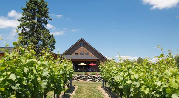 You Can Hike To This Picture Perfect Rhode Island Vineyard & Winery